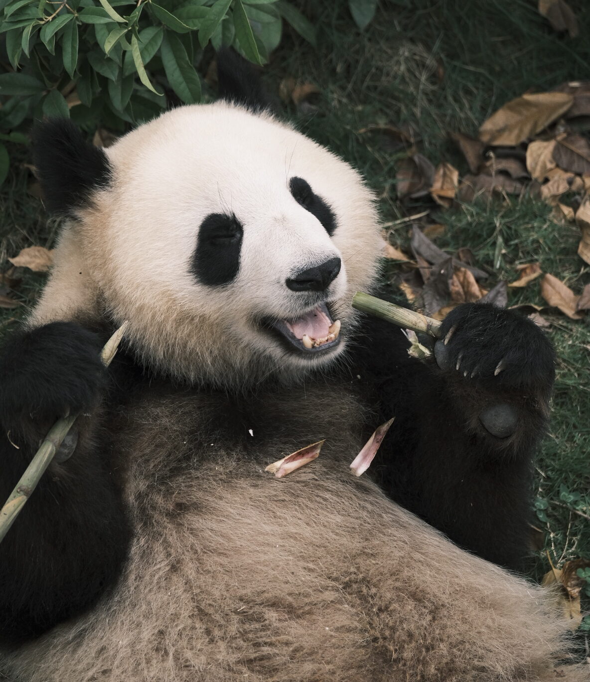 Cina Expedition