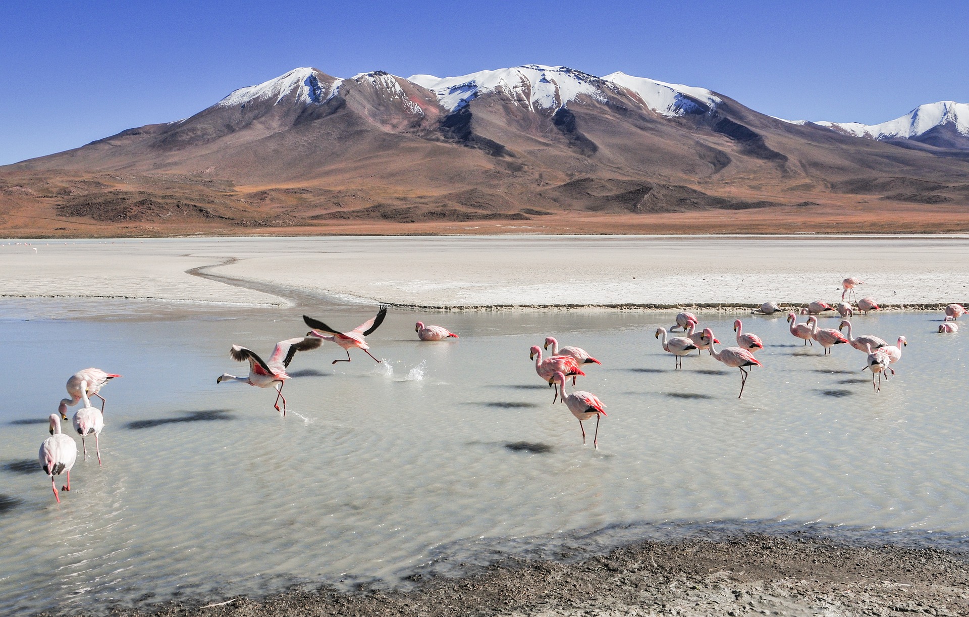Bolivia & Cile Capodanno